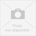 REVEIL BELLMAN BE1340
