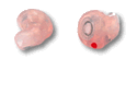PIANISSIMO
