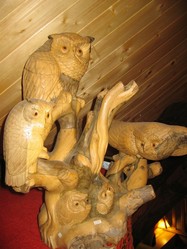 famille chouette