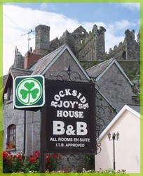 trefle irlandais.jpg
