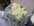 bouquethivers640.jpg