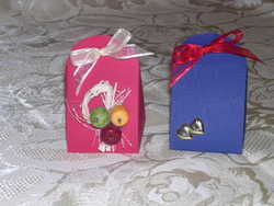 Pochette iris